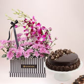 Orchid Daisy N  Choco Truffle Cake